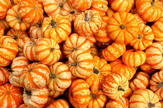 593645 (a): :2800x1860